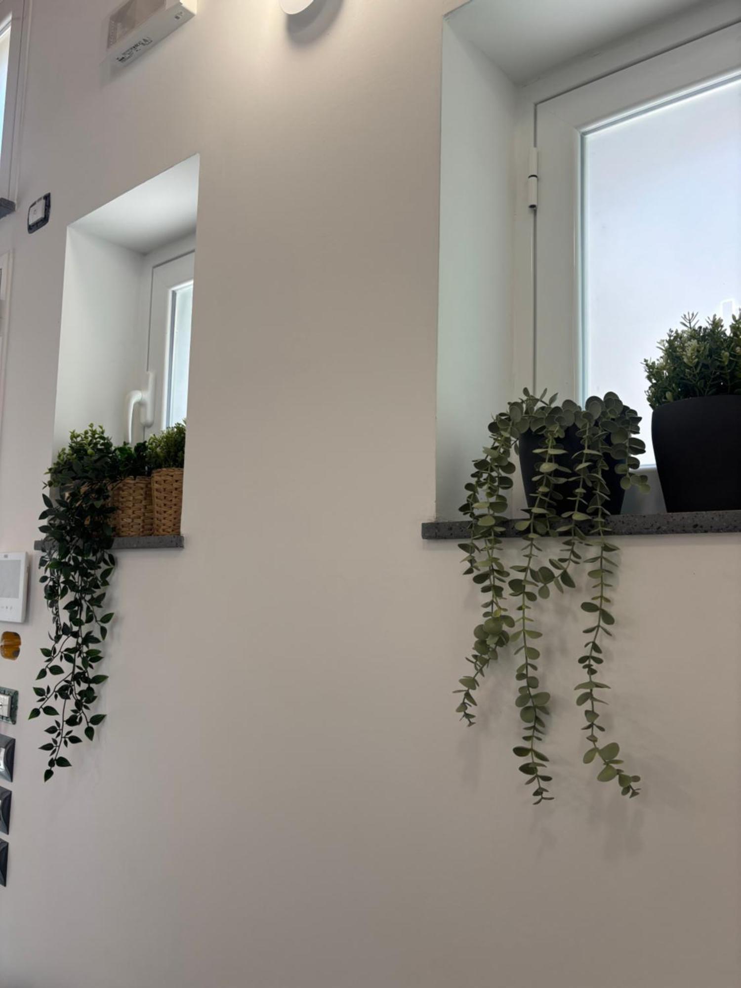 Cortiletto Pavone A *